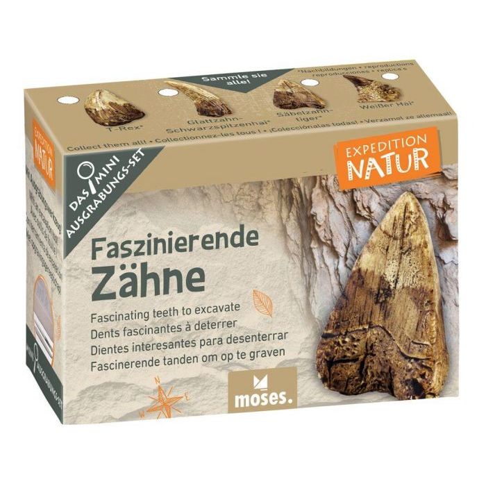 Uithakset fascinerende tanden