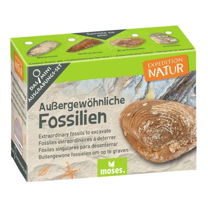 Uithakset buitengewone fossielen