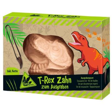 Dino uithaksteen t-rex tand met ketting www.littlelegends.nl