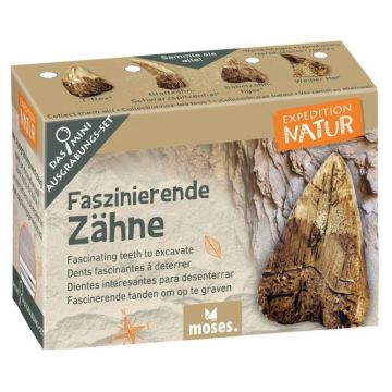 Uithakset fascinerende tanden