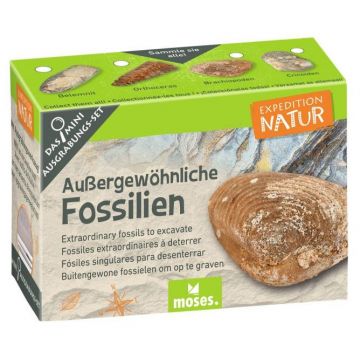 Uithakset buitengewone fossielen