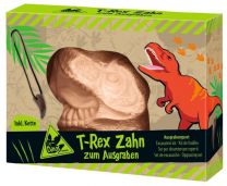 Dino uithaksteen t-rex tand met ketting www.littlelegends.nl