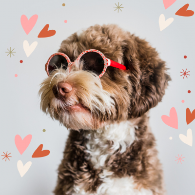 HAPPY VALENTINE'S DAY MET LITTLE LEGENDS